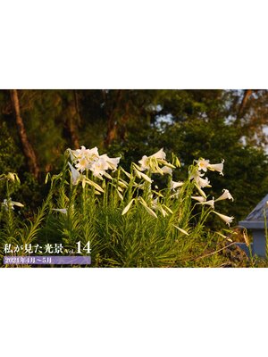 cover image of 私が見た光景 Volume 14 2021年4月～5月